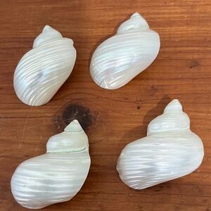 Silver Turbo Pearlescent Shell Napkin ,Scarf Ring Arts and Crafts Lay flat